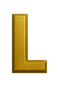 l_1
